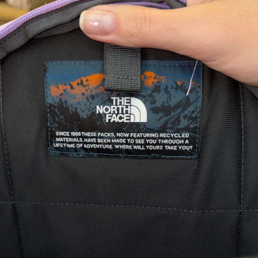 The North Face Lavender Backpack with Black Cord - Picture 2 of 4